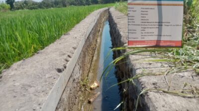 Soroti Proyek Irigasi Desa Bayeman, Tim Media Temukan Indikasi Manipulasi Bangunan Fisik