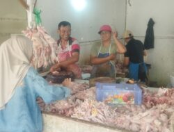 Program MBG serta Lonjakan Permintaan Pasar Picu Kenaikan Harga Ayam Potong