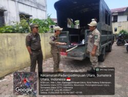 Bersihkan Polusi Visual, Satpol PP Padangsidimpuan Kembalikan Estetika Kota dari Cengkeraman Iklan Ilegal