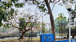 Optimalisasi Disporapar Kota Malang dalam Pengelolaan PAD Melalui Pemanfaatan Lapangan Olahraga