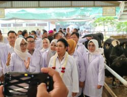 Ketua Komisi IV DPR RI Siti Hediati Hariyadi (Bu Titiek) Kunjungi KUTT Suka Makmur Grati, Beri Apresiasi dan Dorong Sinergi Peternak Pasuruan