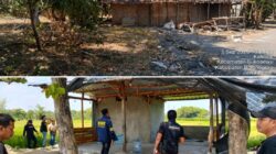 Polres Bojonegoro Cek Dugaan Gudang Solar Bersubsidi di Kalicilik, Tak Ditemukan Lokasi Penimbunan  