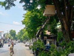 Sambut Hari Jadi ke-1097, Pemkab Pasuruan Percantik Kawasan Perkotaan Bangil