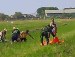 [BREAKING NEWS] Kakek 81 Tahun Ditemukan Meninggal Dunia di Sawah Gentong, Diduga Akibat Sakit